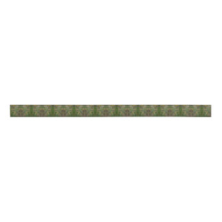Meadow Seeds Grosgrain Ribbon