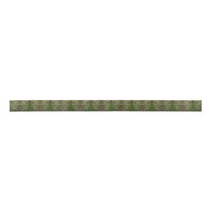 Meadow Seeds Satin Ribbon