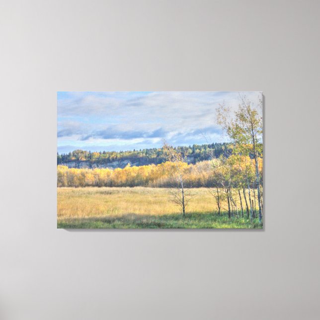 Meadow with Aspens Canvas Print (Front)