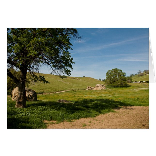 Meadow with Live Oaks and Boulders (Front Horizontal)