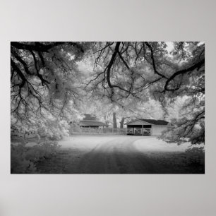 Meadowbank Farm Poster