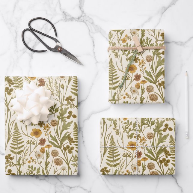Meadowcore Botanical Illustrations Flowers Grasses Wrapping Paper Sheet (Front)
