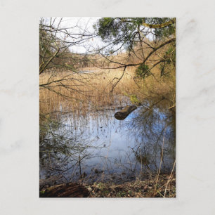 Meadowlands nature postcard