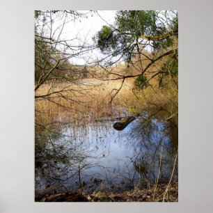 Meadowlands nature poster