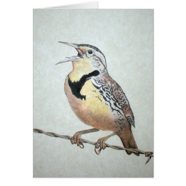 Meadowlark (Front)