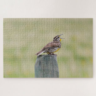 Meadowlark jigsaw puzzle