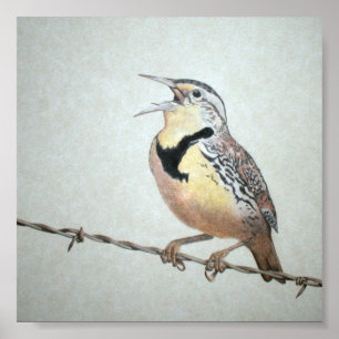 Meadowlark Poster