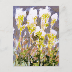 Meadowsweet Postcard