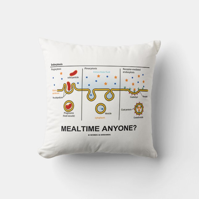 Mealtime Anyone? Endocytosis Eating Biology Humour Cushion (Front)