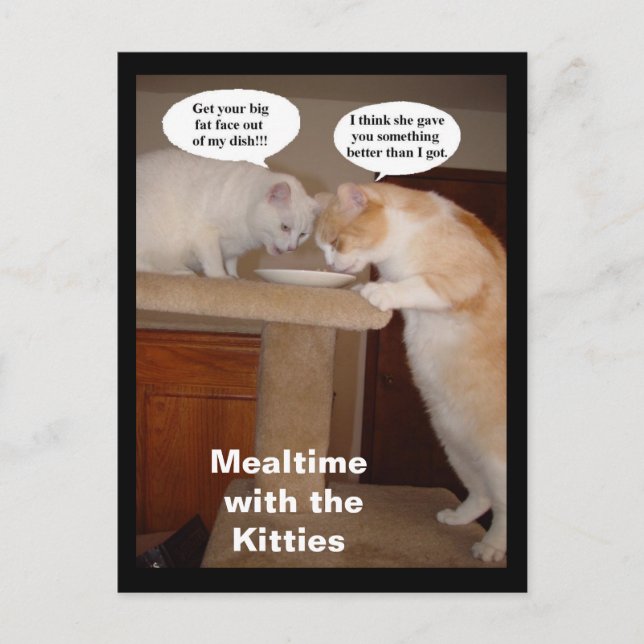 Mealtime with the Kitties Postcard (Front)