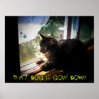 Mean Kitty Says That Dog is Goin' Down