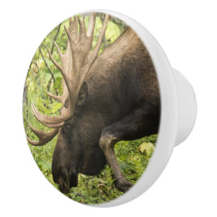 Meandering Moose Ceramic Knob