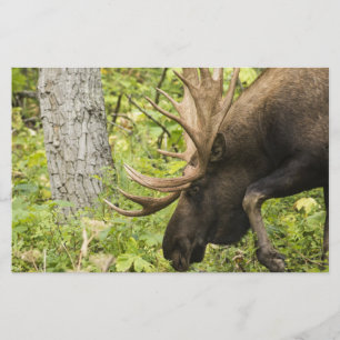 Meandering Moose Stationery
