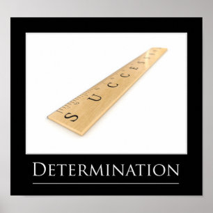 Measuring Success Poster