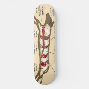 Meat Board Mobber Skateboard