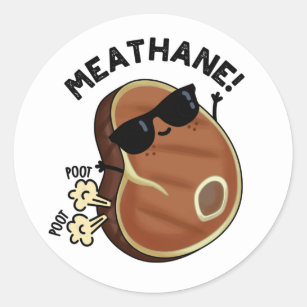 Meat-hane Funny Farting Meat Pun Classic Round Sticker