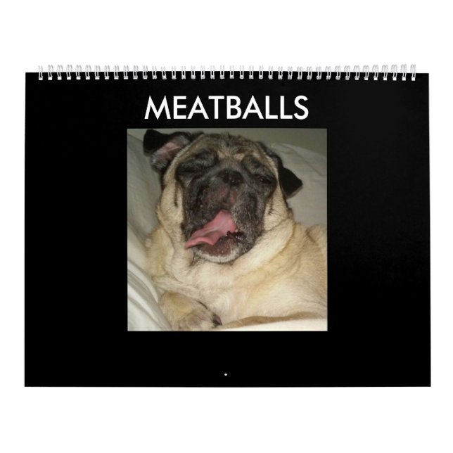 MEATBALLS CALENDAR (Cover)