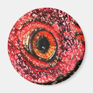 MeatEye Magnet