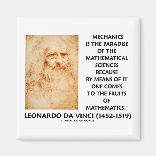 Mechanics Paradise Of Mathematical Sciences Quote Magnet (Front)