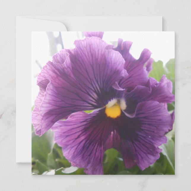 Mechteld blue (Front)