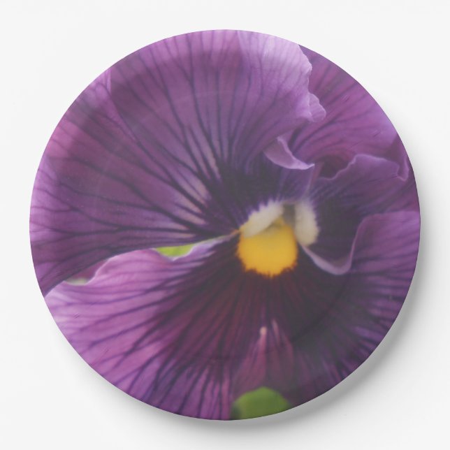 Mechteld Paper Plate (Front)