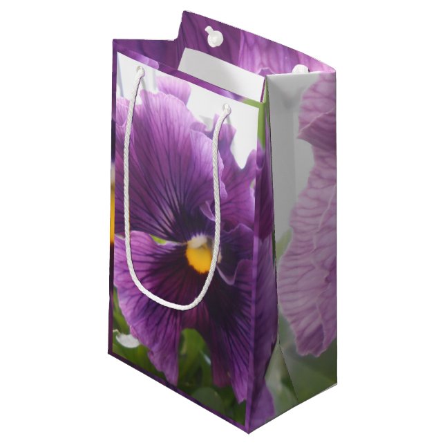Mechteld Small Gift Bag (Front Angled)