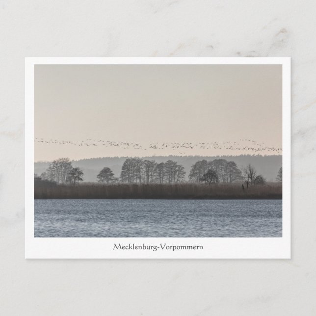 Mecklenburg-Vorpommern Postcard (Front)