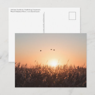 Mecklenburg-Vorpommern Postcard