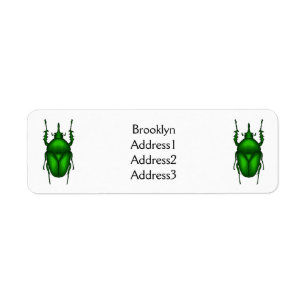 Mecynorhina torquata bug cartoon illustration 