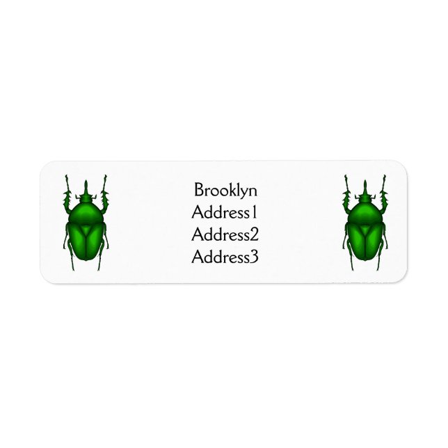 Mecynorhina torquata bug cartoon illustration  (Front)