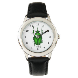 Mecynorhina torquata bug cartoon illustration  watch