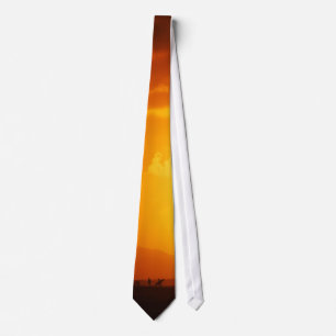 MeddockPhoto_NeckTie_Places Tie