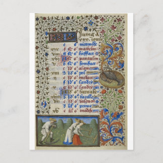Mediaeval calendar: June Postcard