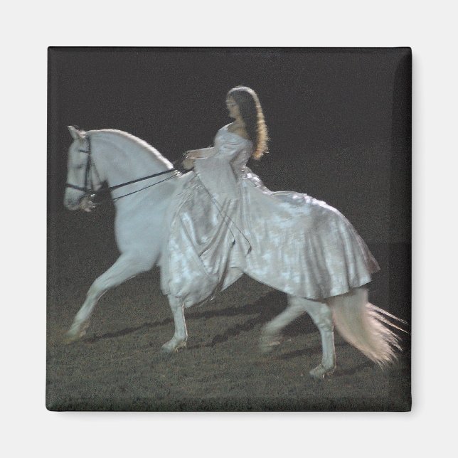 Mediaeval Fantasy - magnet (Front)