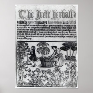 Mediaeval Herb Garden Poster