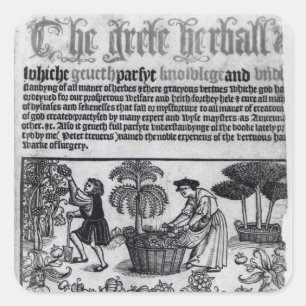 Mediaeval Herb Garden Square Sticker