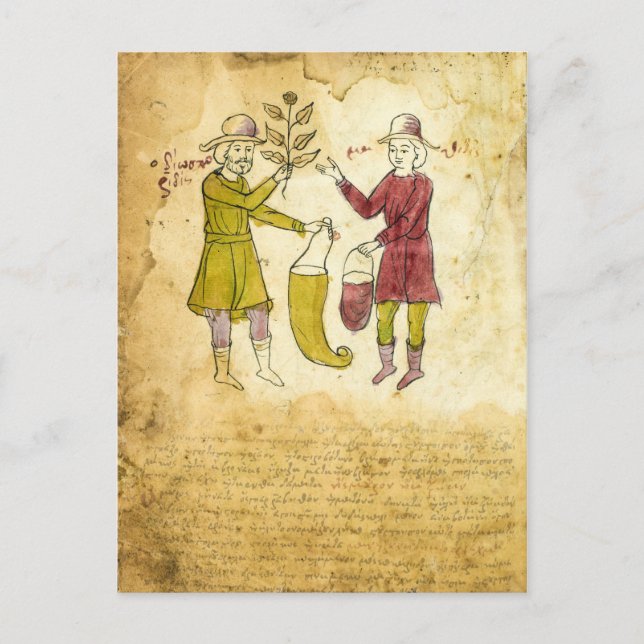 Mediaeval Herbalist Manuscript illustration card (Front)