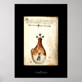 Mediaeval Italian Alchemy Poster Plate 11