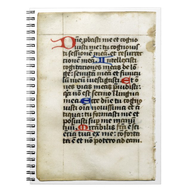 Mediaeval  Manuscript Notebook (Front)