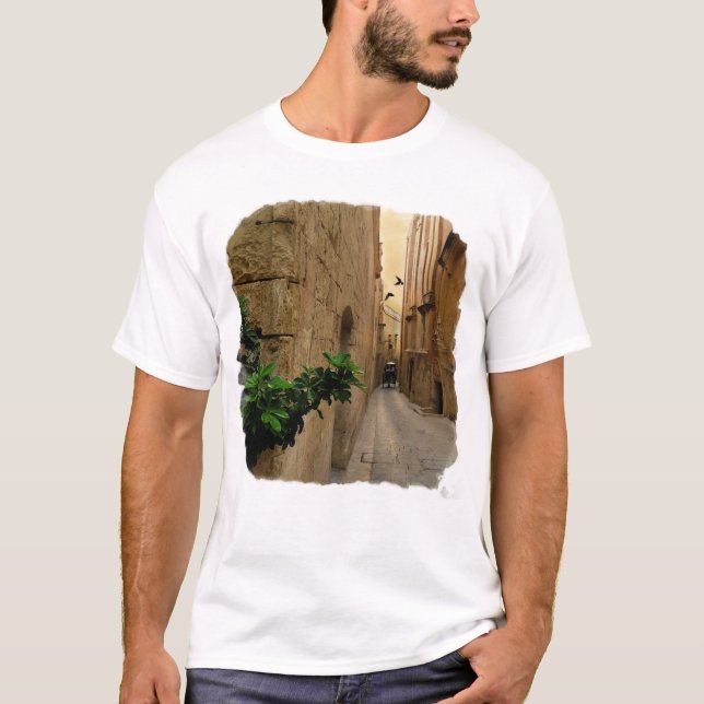 Mediaeval Narrow Street Tall Buildings And Coach T-Shirt (Front)