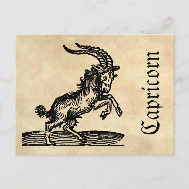 Mediaeval Renaissance Zodiac Symbol Capricorn Postcard (Front)