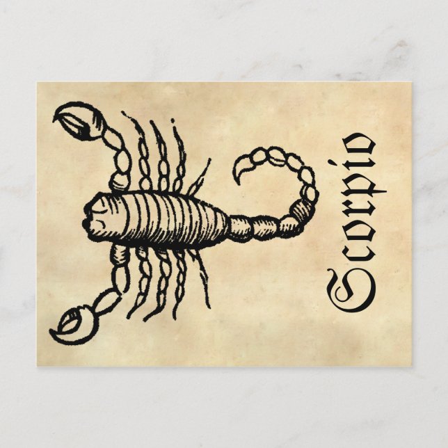 Mediaeval Renaissance Zodiac Symbol Scorpio Postcard (Front)