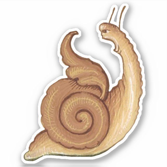 Mediaeval "Screaming Snail" Vinyl Sticker (Front)