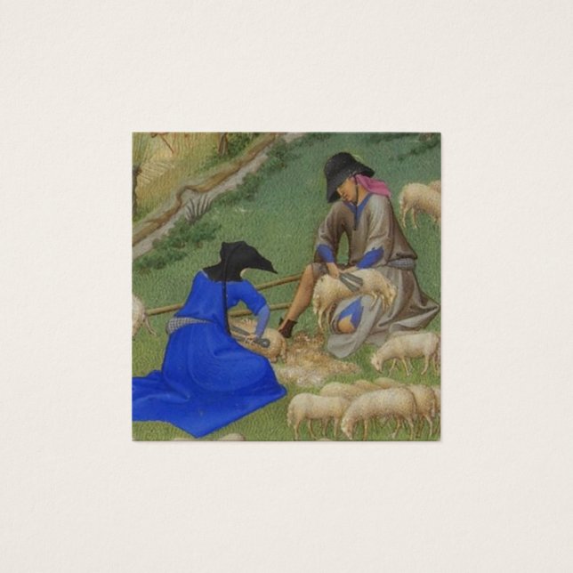 Mediaeval sheep shearing illustration (Front)