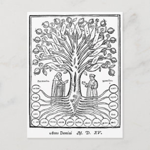 Mediaeval Tree of Sciences Postcard
