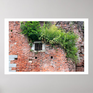 Mediaeval Window Detail Poster