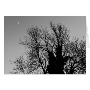 Mediaeval Winter Afternoon