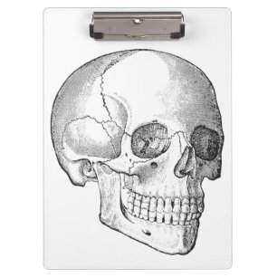Medical anatomy vintage skull drawing monochrome clipboard