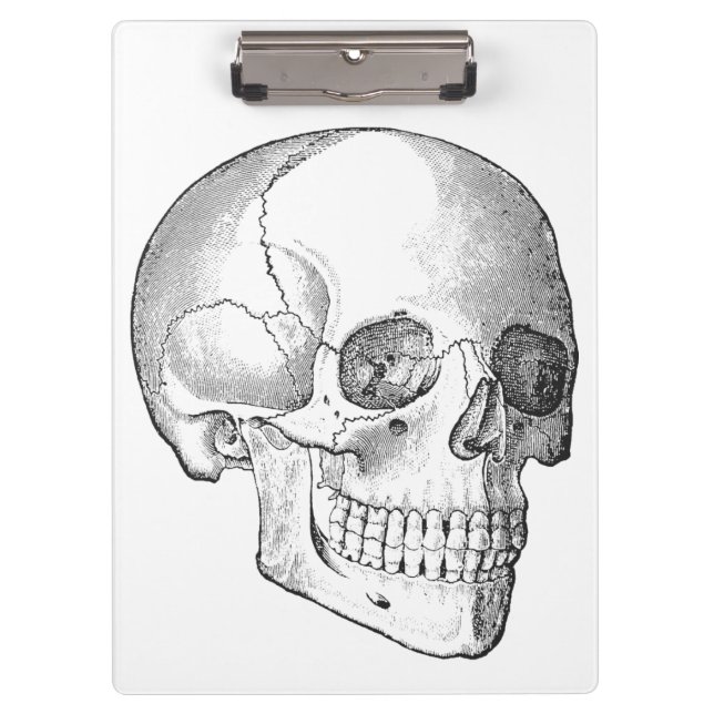 Medical anatomy vintage skull drawing monochrome clipboard (Front)
