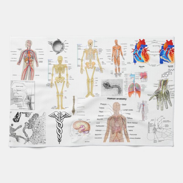 Medical Charts full colour Tea Towel (Horizontal)